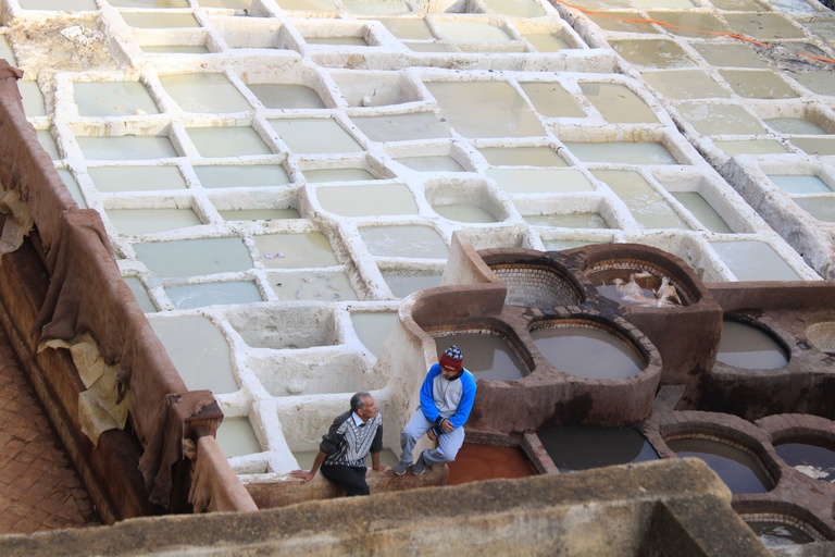 Annelise's art: a photo of tanneries in Fez, Morocco.