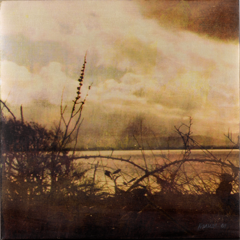 Silhouette of shrubbery and branches in front of a serene body of water and cloudy sky in pastel warm shades 