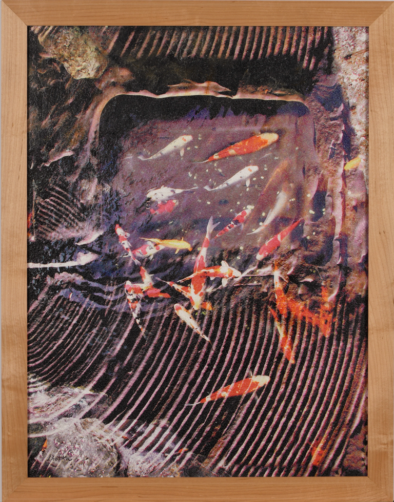 Several orange and white fishes superimposed on an image of sand with concentric lines