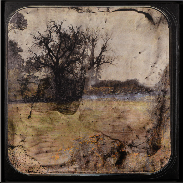 A grassy plain with a weathered tree with dark branches, against a grey sky overlayed with rough, worn texture 