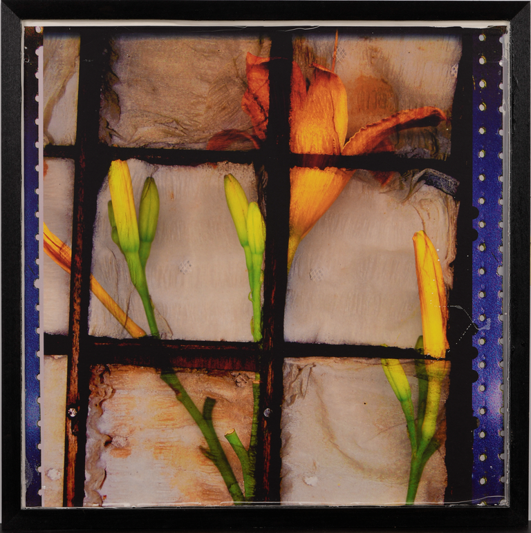 Orange lilies overlayed with a square grid