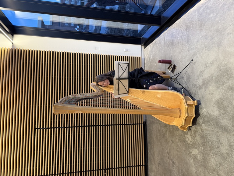 Melanie plays the harp