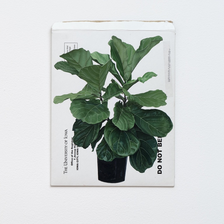 A potted fiddle-leaf fig plant painted on a white mailer envelope with partially visible printed text along the edges.