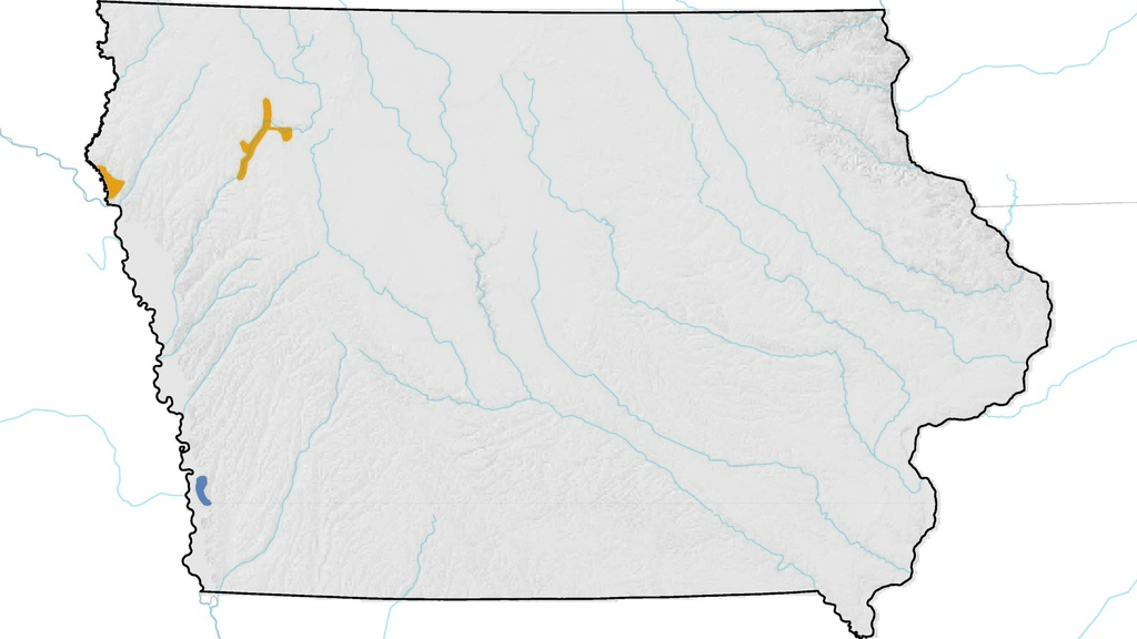 Outline of the map of Iowa