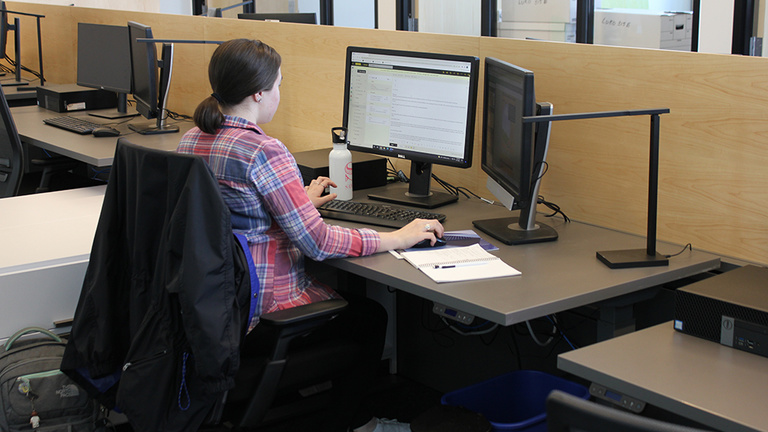 Female student sitting at a computer